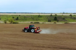 Cygnet суттєво збільшила частку соняшнику у структурі посівів