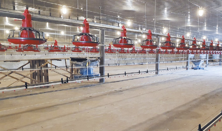 Вибір освітлення