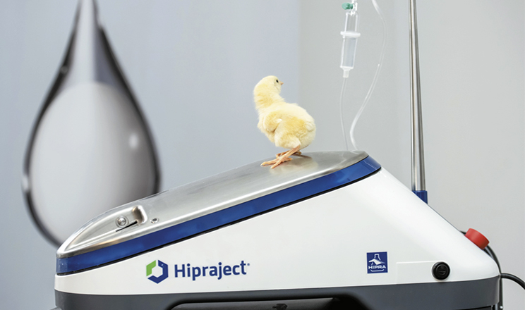 Імунокомплексні вакцини