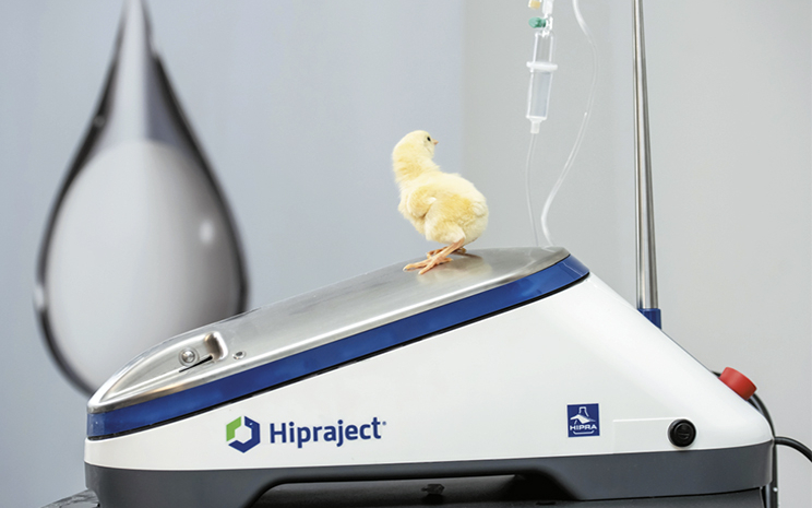 Застосування імунокомплексних вакцин дає змогу контролювати захворюваність птиці на хворобу Гамборо