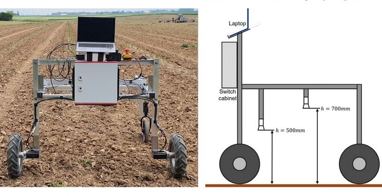 У Німеччині розробили робота для швидкого збору зеленої спаржі