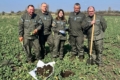 Ґрунтові розкопки для виявлення шкідників виконали на Житомирщині: ситуація контрольована