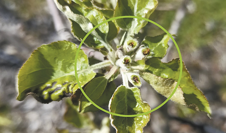 Уроки сезону