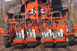 «Епіцентр Агро» вперше висіяв цибулю на Хмельниччині