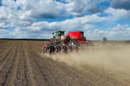 Ярі культури в «Контінентал» посіяли на 75% запланованих площ