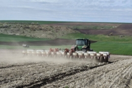 Особливостями цьогорічної посівної соняшнику на Півдні поділилися в Tekom Agro Group