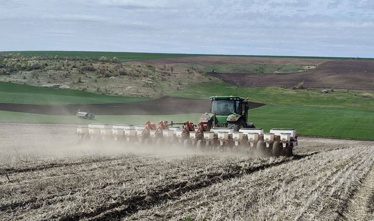 Особливостями цьогорічної посівної соняшнику на Півдні поділилися в Tekom Agro Group