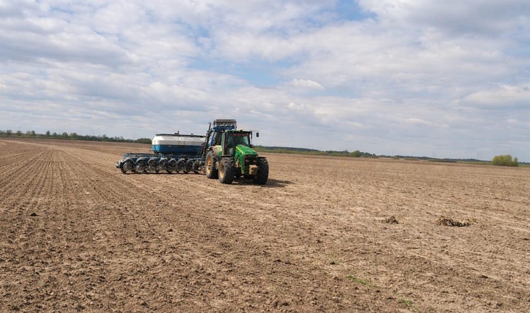 Ярі зернові та зернобобові на Чернігівщині посіяли на 5% запланованих площ: найбільше – вівса