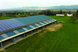 Як облаштувати СЕС на свинокомплексі, розкажуть на форумі Pigs Farming Industry