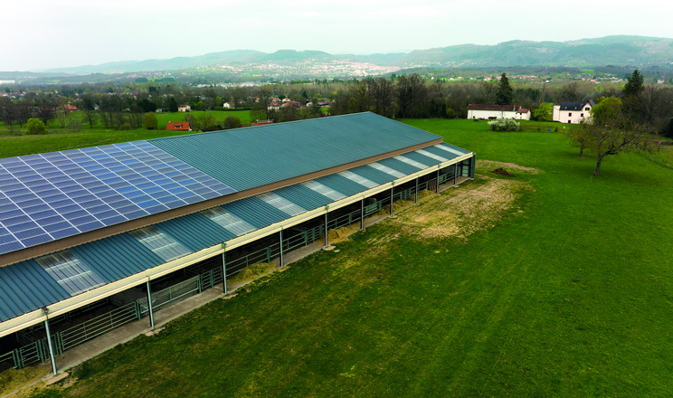 Як облаштувати СЕС на свинокомплексі, розкажуть на форумі Pigs Farming Industry