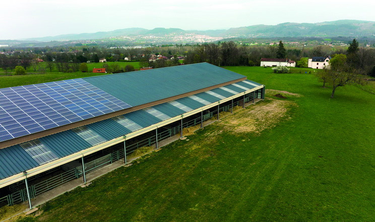 Як облаштувати СЕС на свинокомплексі, розкажуть на форумі Pigs Farming Industry