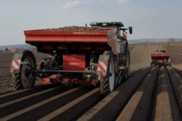 «Централ Плейнс Груп» розпочала сезон посадки картоплі на 1 тис. га