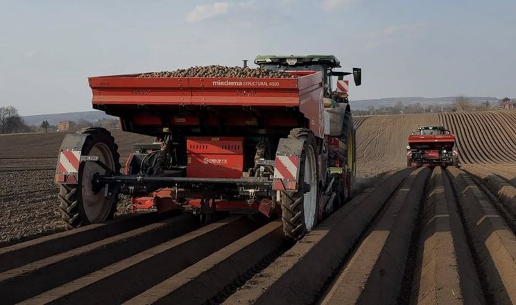 «Централ Плейнс Груп» розпочала сезон посадки картоплі на 1 тис. га