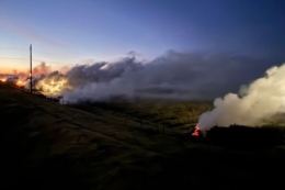 На Закарпатті через заморозки до -6°C захищають плантації лохини