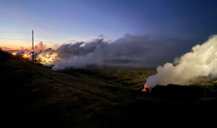 На Закарпатті через заморозки до -6°C захищають плантації лохини