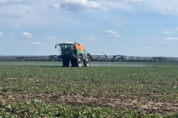 «Агрейн» проводить захист посівів ріпаку на основі точного моніторингу