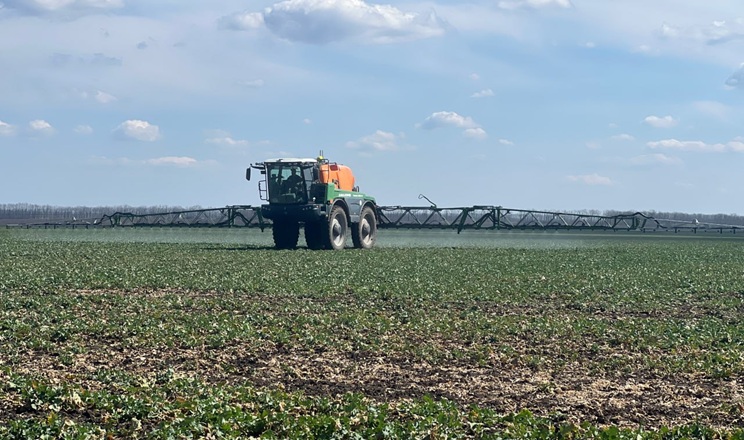 «Агрейн» проводить захист посівів ріпаку на основі точного моніторингу