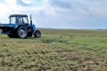 Як формують структуру посівів у ФГ «ТД Арістей» на Сумщині