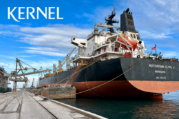 Kernel розглядає вихід із судноплавного бізнесу