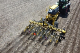 Технологія Strip-till показала найкращий результат на кукурудзі