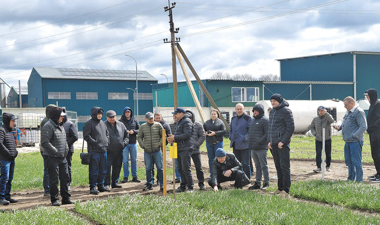 Здоровому ґрунту — здорове насіння