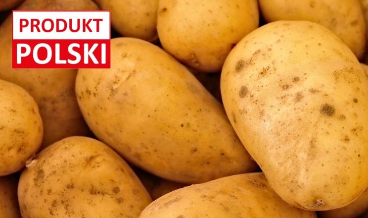 Польща закликає купувати місцеву картоплю через обвал цін