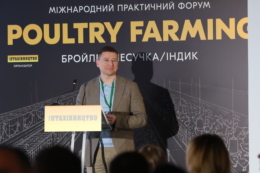 Заміна якісної сировини комбікормів дешевшою часто погіршує продуктивність птиці