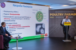 Форум Poultry Farming акцентує на ветеринарних рішеннях, перевірених птахівниками