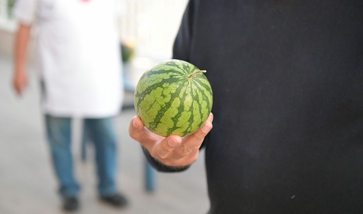 У Європі почнуть продавати кавуни вагою по 500 грамів