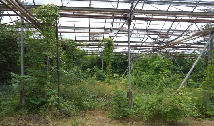 ЄС дав грант на розвиток міського городництва та агробізнесу в Житомирі