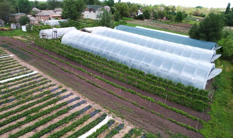 «СТОЯгідка» на Кіровоградщині збільшує площі під закритим ґрунтом