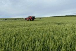 Фунгіцидний захист озимої пшениці завершили в Tekom Agro Group