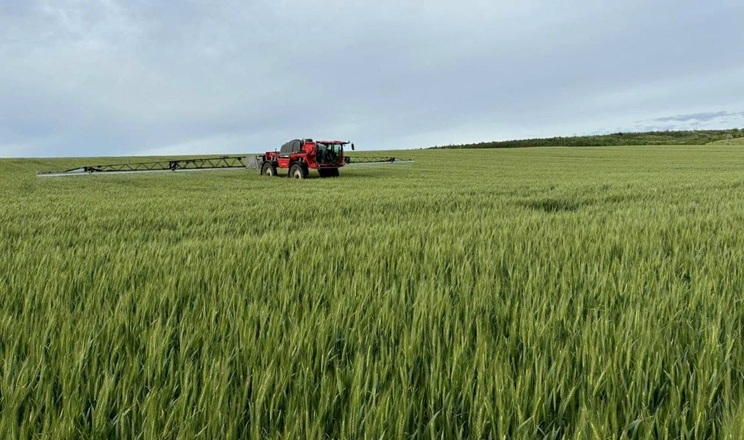 Фунгіцидний захист озимої пшениці завершили в Tekom Agro Group