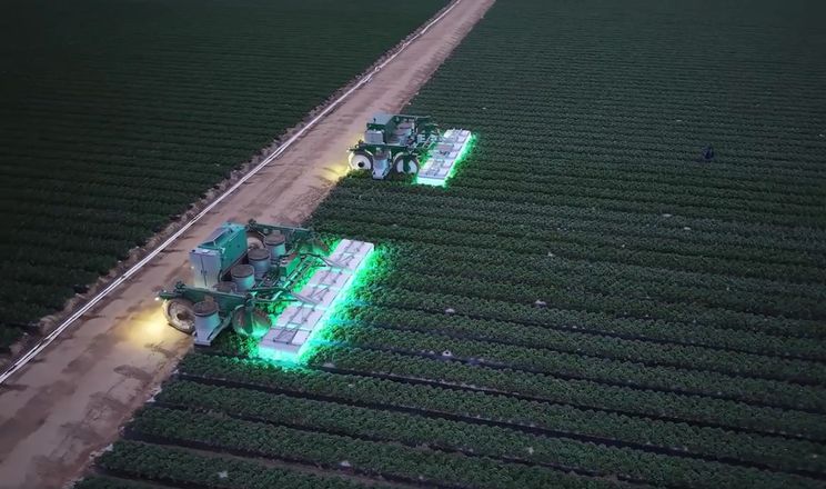 Пара роботів TRIC Robotics за ніч знищують шкідників ультрафіолетом на 24 га