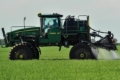 Господарства Tekom Agro Group виконали інсектицидний захист олійного льону