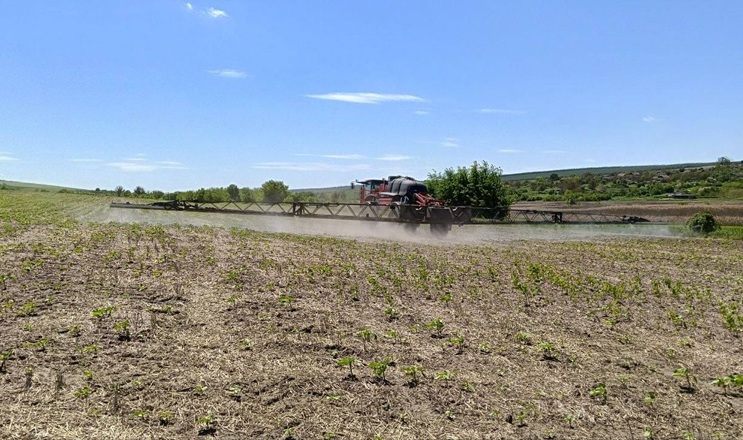 Гербіцидний захист соняшнику завершили в найбільшому господарстві Tekom Agro Group