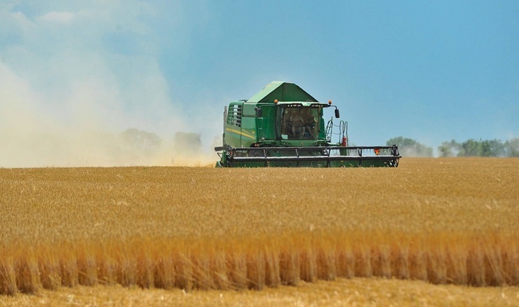 Урожайність ранніх культур на старті жнив у  Tekom Agro Group перевищує очікувану