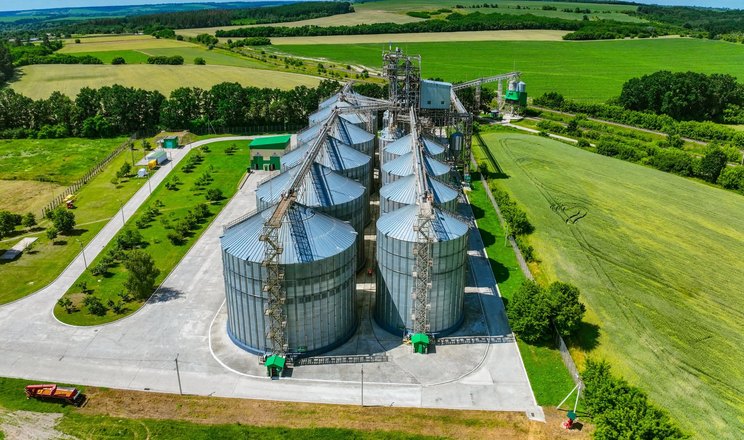 Елеватор «ТАС Агро» за 2 тижні прийняв понад 30 тис. тонн зерна нового врожаю