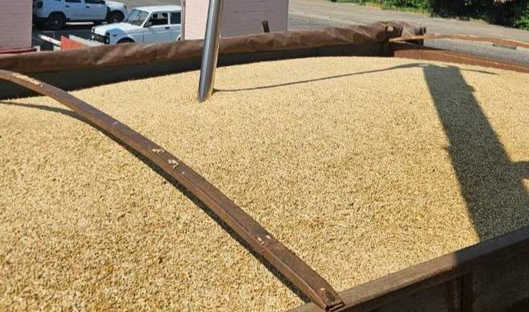 Елеватори Tekom Agro Group розпочали сезон приймання зерна врожаю-2026