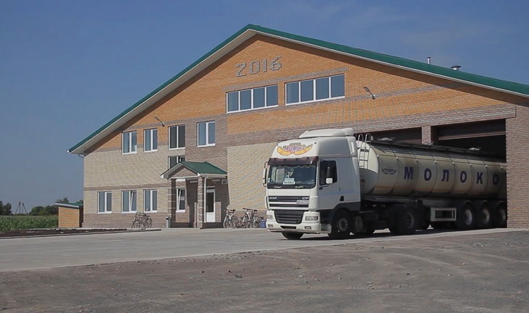 Власні молоковози дозволяють «Променю» вчасно доставляти молоко на переробку