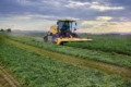 New Holland презентував самохідні косарки Speedrower потужністю до 308 к.с.