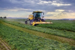 New Holland презентував самохідні косарки Speedrower потужністю до 308 к.с.