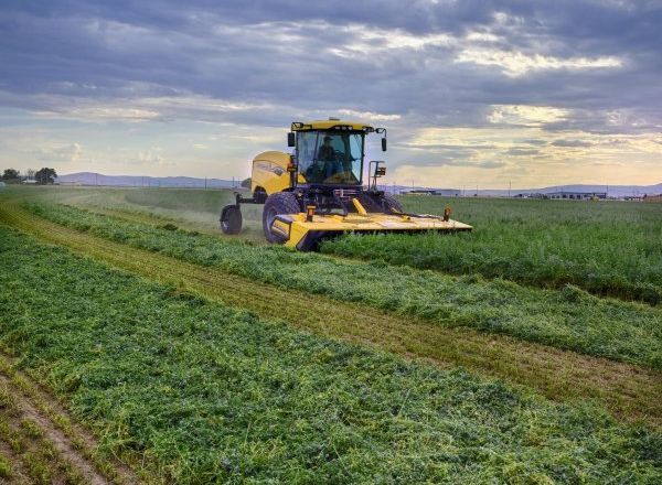New Holland презентував самохідні косарки Speedrower потужністю до 308 к.с.