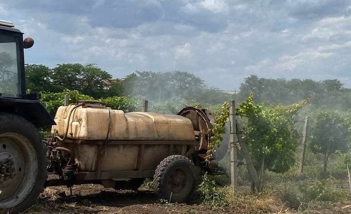 В Інституті Таїрова провели четверту обробку виноградників від хвороб