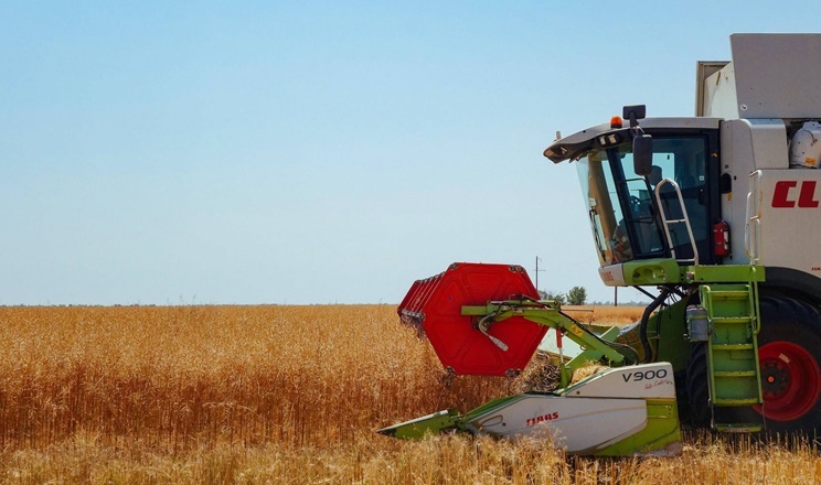 Озимий ріпак у Tekom Agro Group на Одещині збирають з урожайністю в межах 30 ц/га