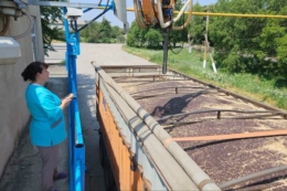 Елеватори Tekom Agro Group приймають ріпак нового врожаю