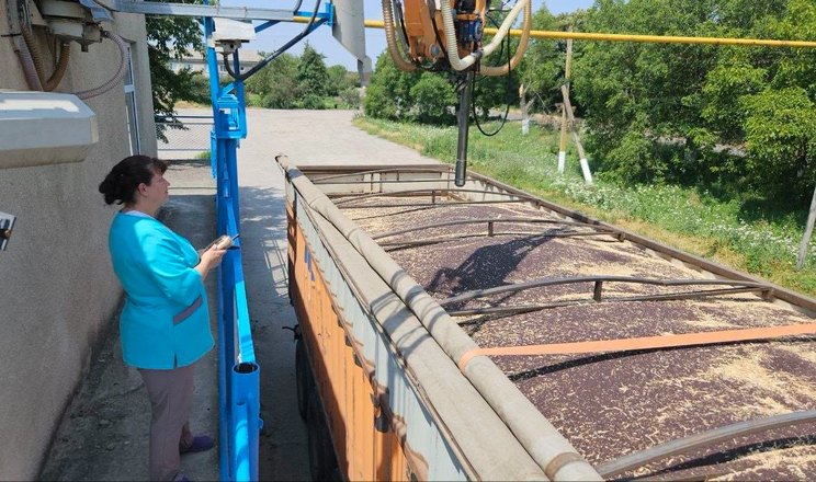 Елеватори Tekom Agro Group приймають ріпак нового врожаю
