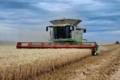 Жнива твердої пшениці завершили в Tekom Agro Group