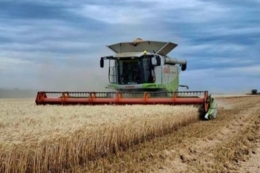Жнива твердої пшениці завершили в Tekom Agro Group