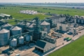 Allseeds призупиняє операційну діяльність на Одещині